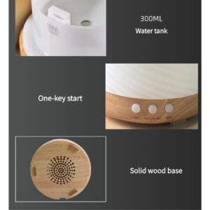 Ceramic Diffuser & Humidifier